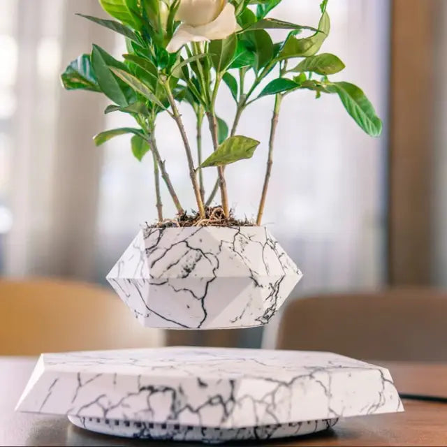 Levitating Bonsai Pot