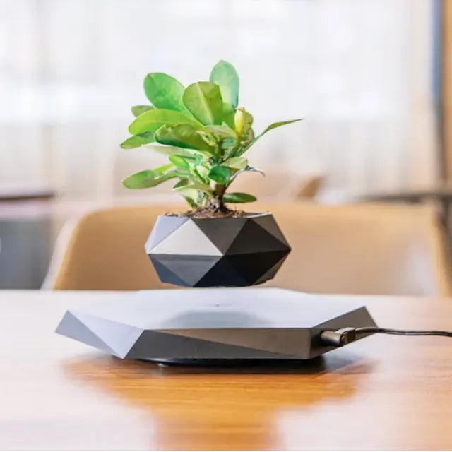 Levitating Bonsai Pot